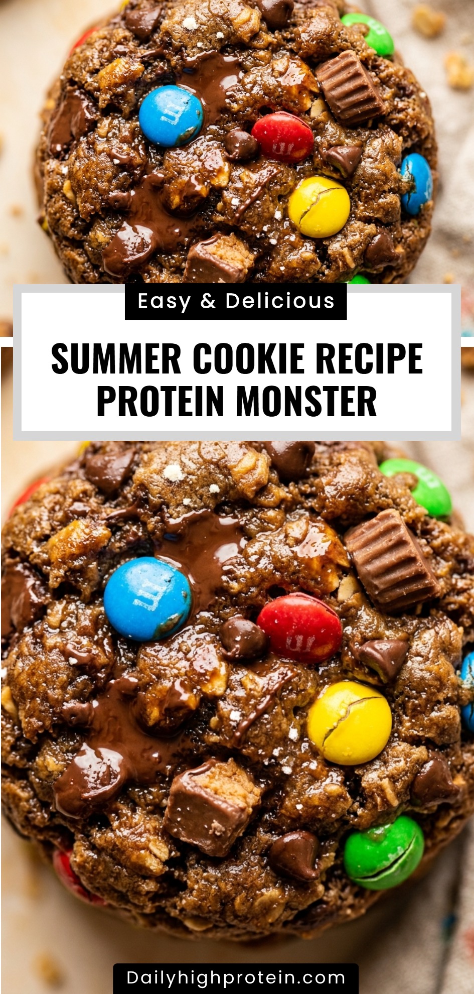 Summer Cookie Recipe Protein Monster